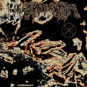 Chytridiomycosis