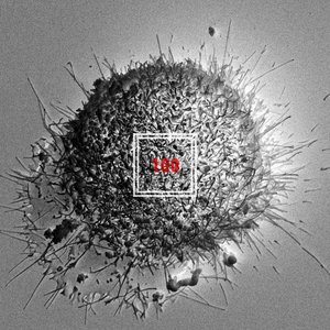 100 (feat. 천재노창) - Single