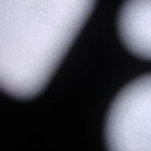 Blurred Letters 的头像