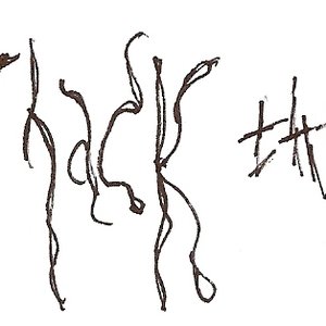 .you hack the aye 的头像