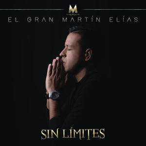 Artwork for Al Fin Llegaste Tú