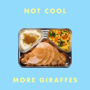 Not Cool - Single