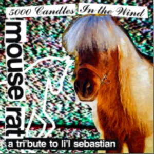 5,000 Candles In The Wind (Bye Bye Li'l Sebastian)