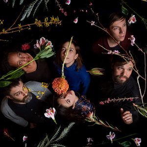 Dirty Projectors için avatar