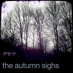 Sprig