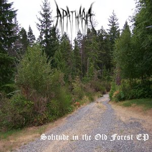 Solitude in the Old Forest