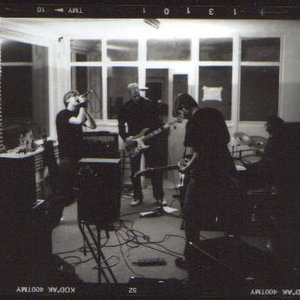 The Art Of Losing 的头像