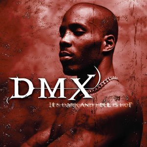 The DMX Files