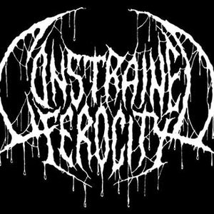 Constrained Ferocity 的头像