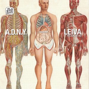 Avatar de ADNY presents Leiva