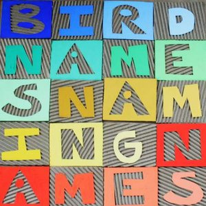 Image for 'Naming Names'