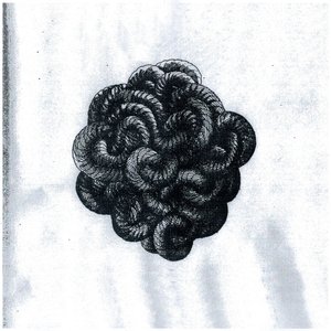 Wish - Single