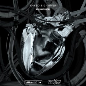 Kayzo - FOREVER Lyrics - Zortam Music