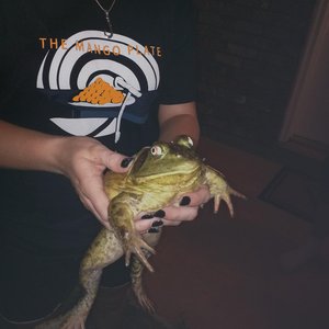 Jazzerson V