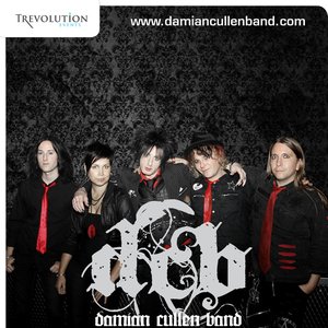 Image pour 'Damian Cullen Band'