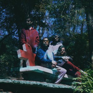 Flash Seasons 的头像