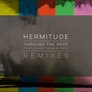 Through the Roof Remixes