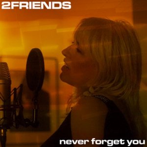 Never Forget You