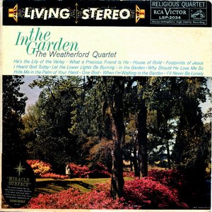 In the Garden