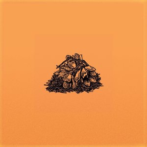 Ignis - Single