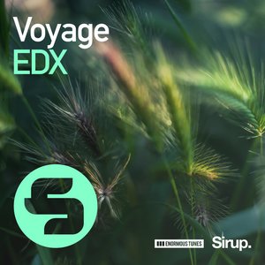 Voyage - Single