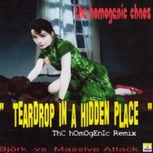 'ThE hOmOgEnIc ChAoS "teardrop in a hidden place"(Björk vs. Massive Attack)' için resim