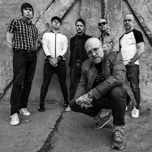 Avatar for The Chains