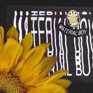 Material Boy - Single