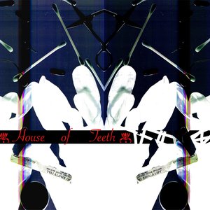House of Teeth