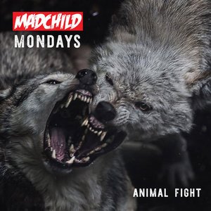 MadChild - Animal Fight - Single - Zortam Music