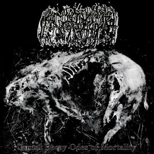 carnal Decay Odes of Mortality