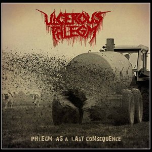 Phlegm As A Last Consequence