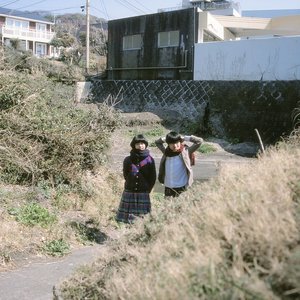 花柄ランタン 的头像