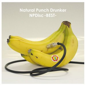 NPDisc -BEST-
