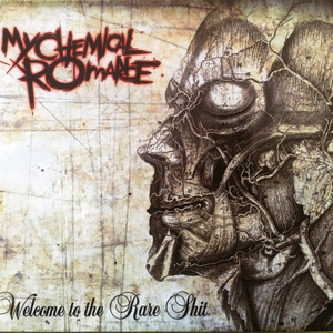 My Chemical Romance - Unknown Lyrics - Zortam Music