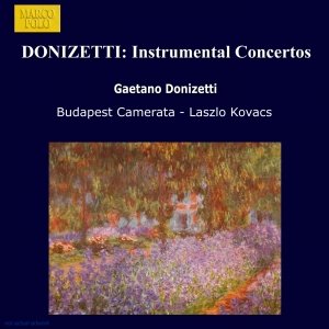 DONIZETTI: Instrumental Concertos