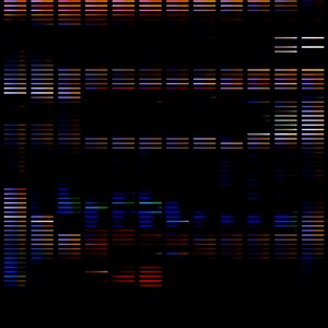 Slideshow Of - EP