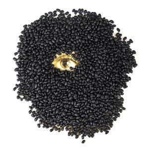 De canção em canção