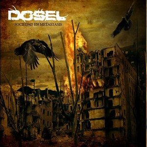 Image for 'DOSEL'