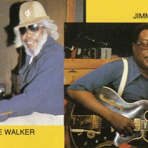 JIMMY ROGERS & BIG MOOSE WALKER 的头像