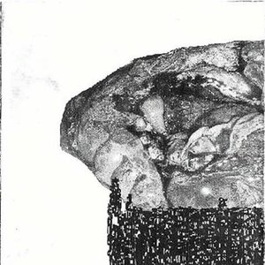 Image for 'Mutated From Within'