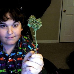 Awatar dla Andy Milonakis