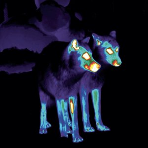 There’s Something Out There Compilation Album