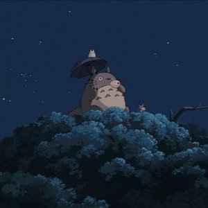kosutwo 的头像