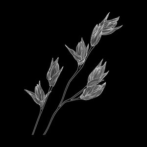 Quod EP