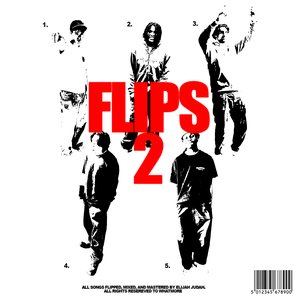 FLIPS 2