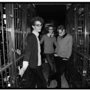 the Dying Dandies 的头像