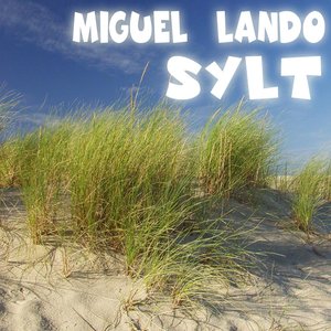 Miguel Lando のアバター