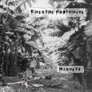 Harvest