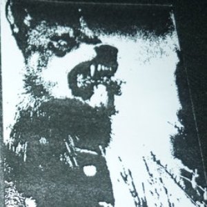 Wolf Metal